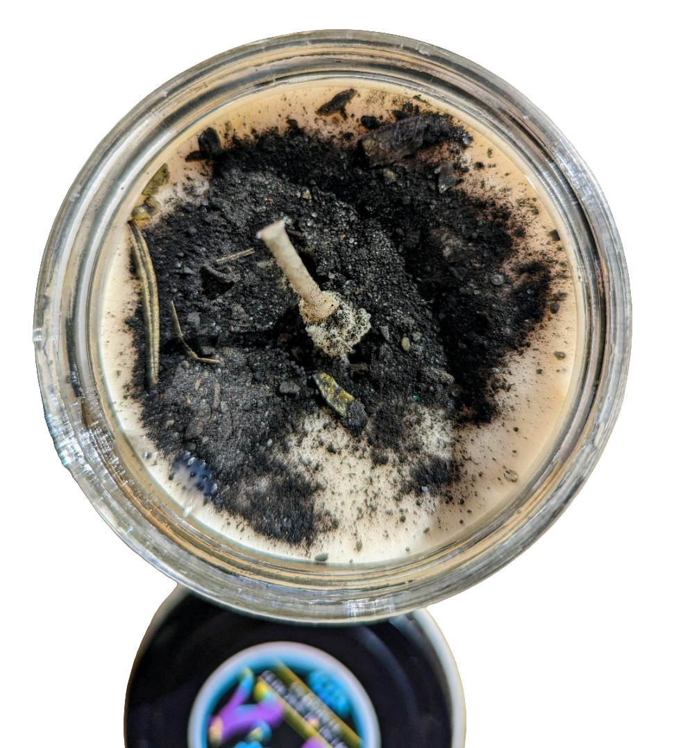 ICandle:  I AM PROTECTED (8 oz.) Soy Wax Ritual Candle