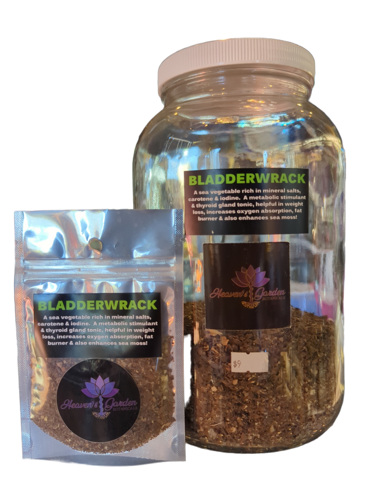 Bladderwrack 1 oz. loose herbs.