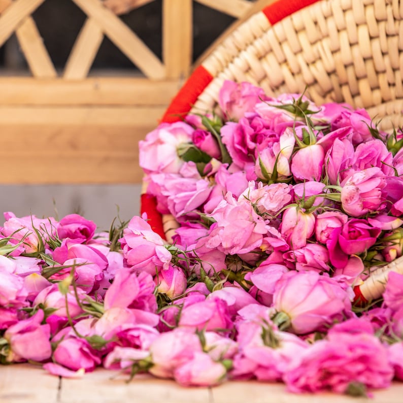 Damascus Roses