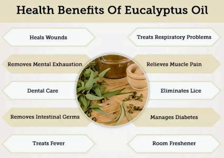 Benefits of Eucalyptus Oil