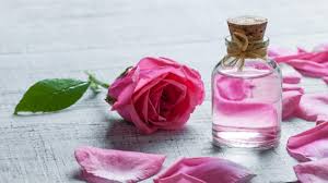 rose with water